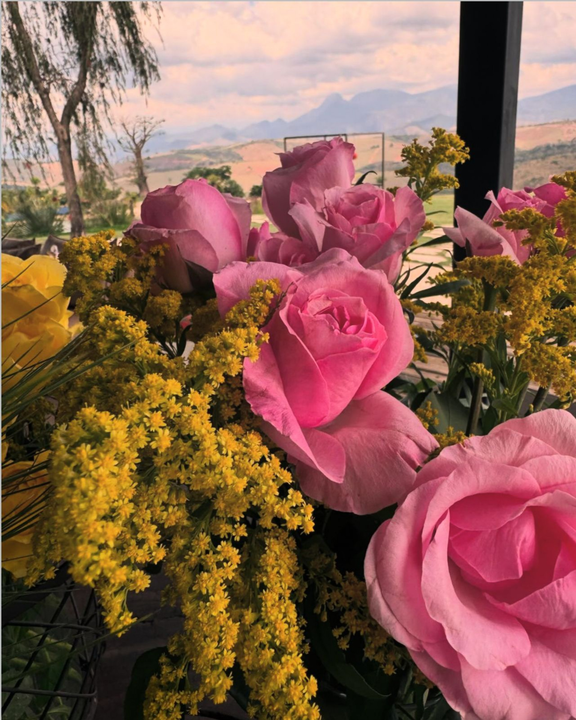 Carolina Dieckmann publicou no Instagram - Reprodução Instagram