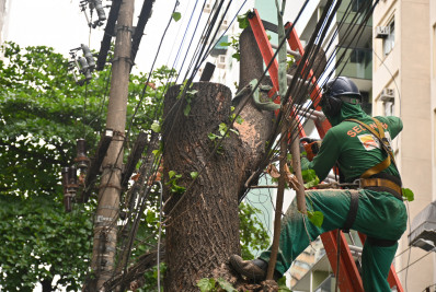 Prefeitura segue com trabalho de podas de árvores na Zona Sul
