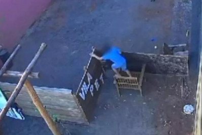 Vídeo: criança de 9 anos invade hospital veterinário e mata 23 animais no Paraná