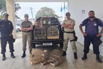 Grupamento Ambiental de Quatis apreende aves silvestres