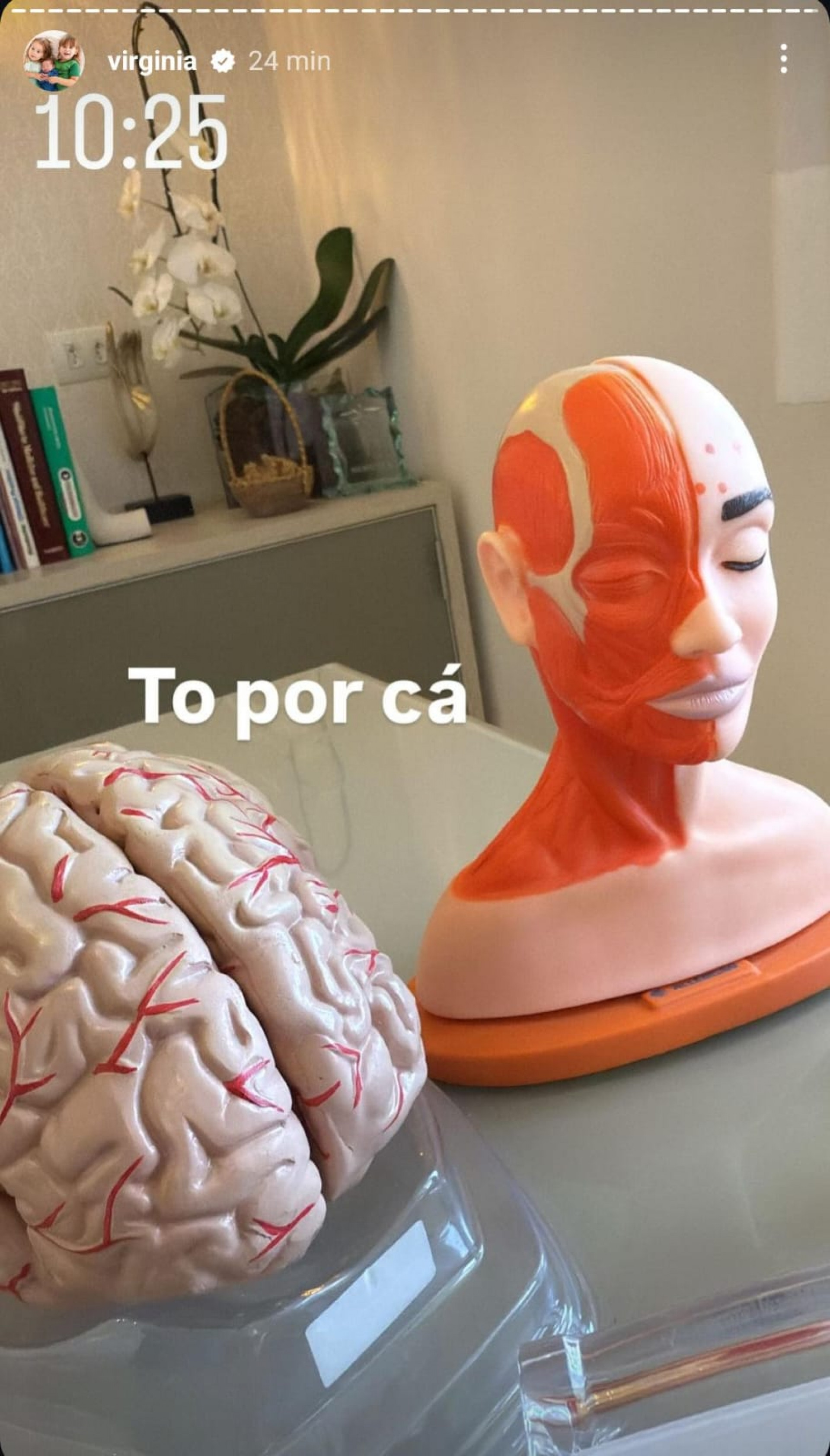 Virginia Fonseca viaja a São Paulo para tratar dor de cabeça - Reprodução / Instagram