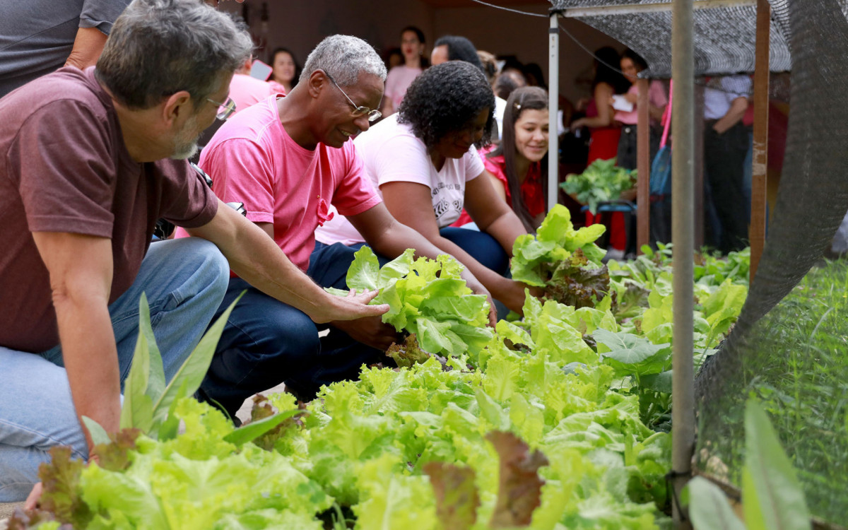 Pacientes da ESF Campo do Oeste colhem hortaliças orgânicas durante ação do Outubro Rosa, reforçando a importância da alimentação saudável na prevenção de doenças