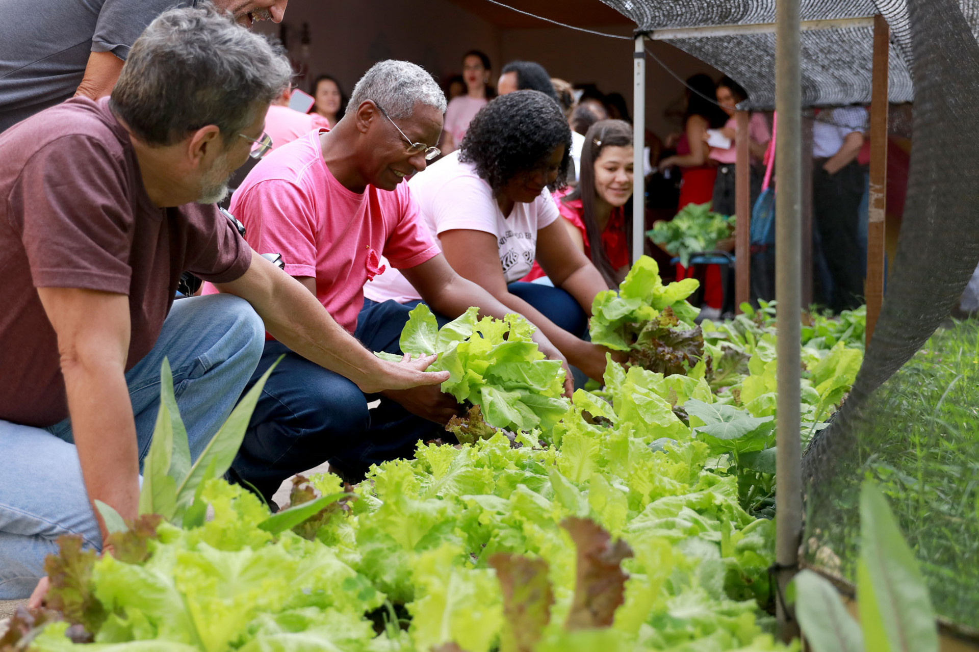 Pacientes da ESF Campo do Oeste colhem hortaliças orgânicas durante ação do Outubro Rosa, reforçando a importância da alimentação saudável na prevenção de doenças - Foto: Divulgação