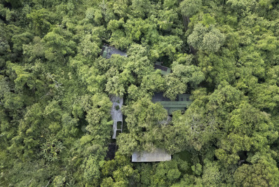 Poucos países apresentaram planos para proteger a natureza antes da COP16 (ONU)