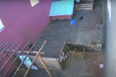 'Cena horrível', dizem donos de hospital veterinário onde criança de 9 anos matou 23 animais
