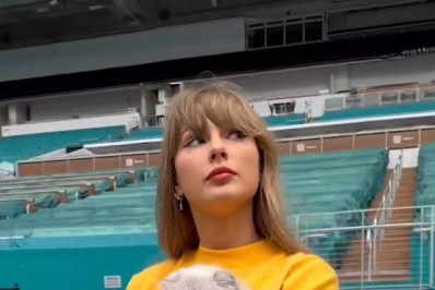 Taylor Swift posa com a gata Olivia em estádio preparado para show: 'De volta ao escritório'
