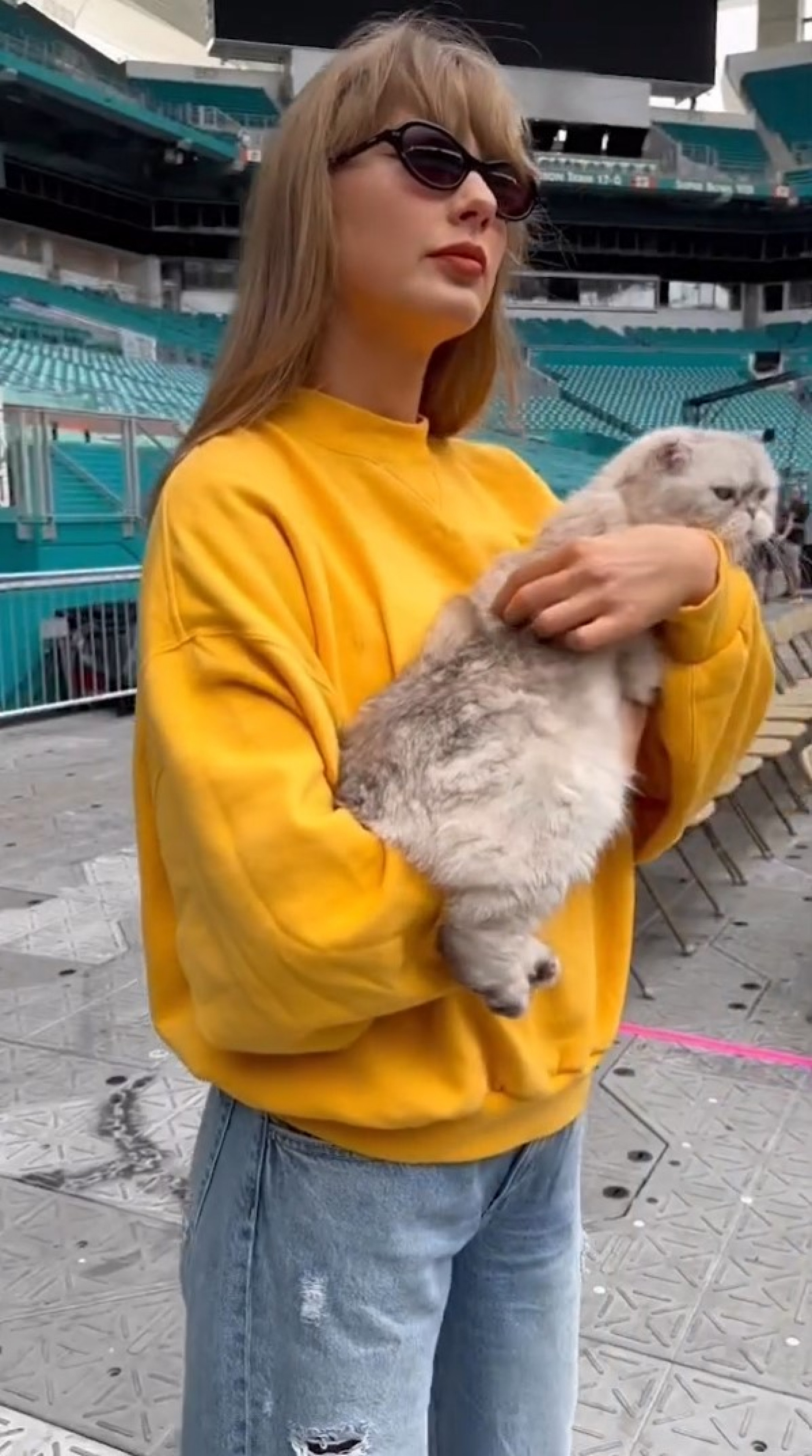 Olivia, gata de Taylor Swift, rouba a cena em vídeo da cantora - Reprodução / Instagram