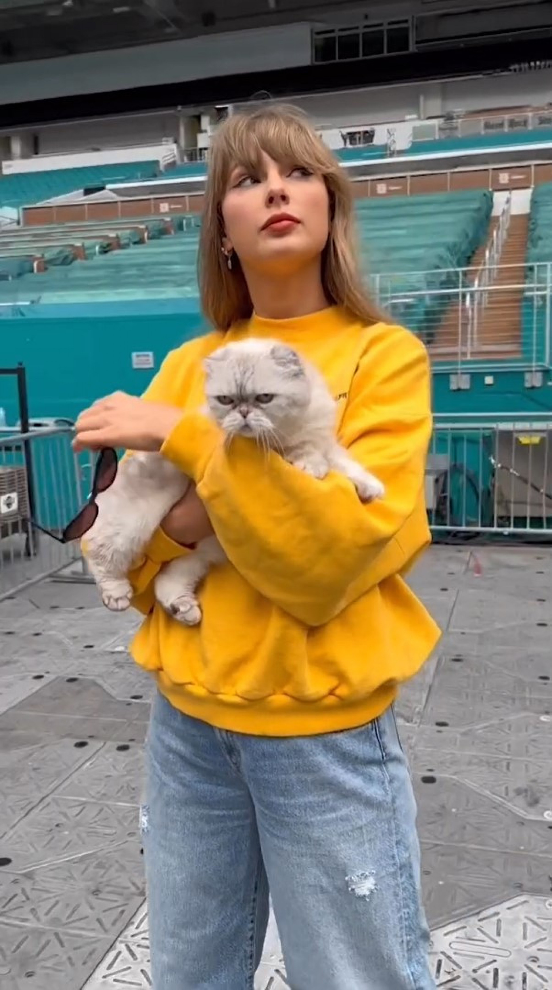 Olivia, gata de Taylor Swift, rouba a cena em vídeo da cantora - Reprodução / Instagram