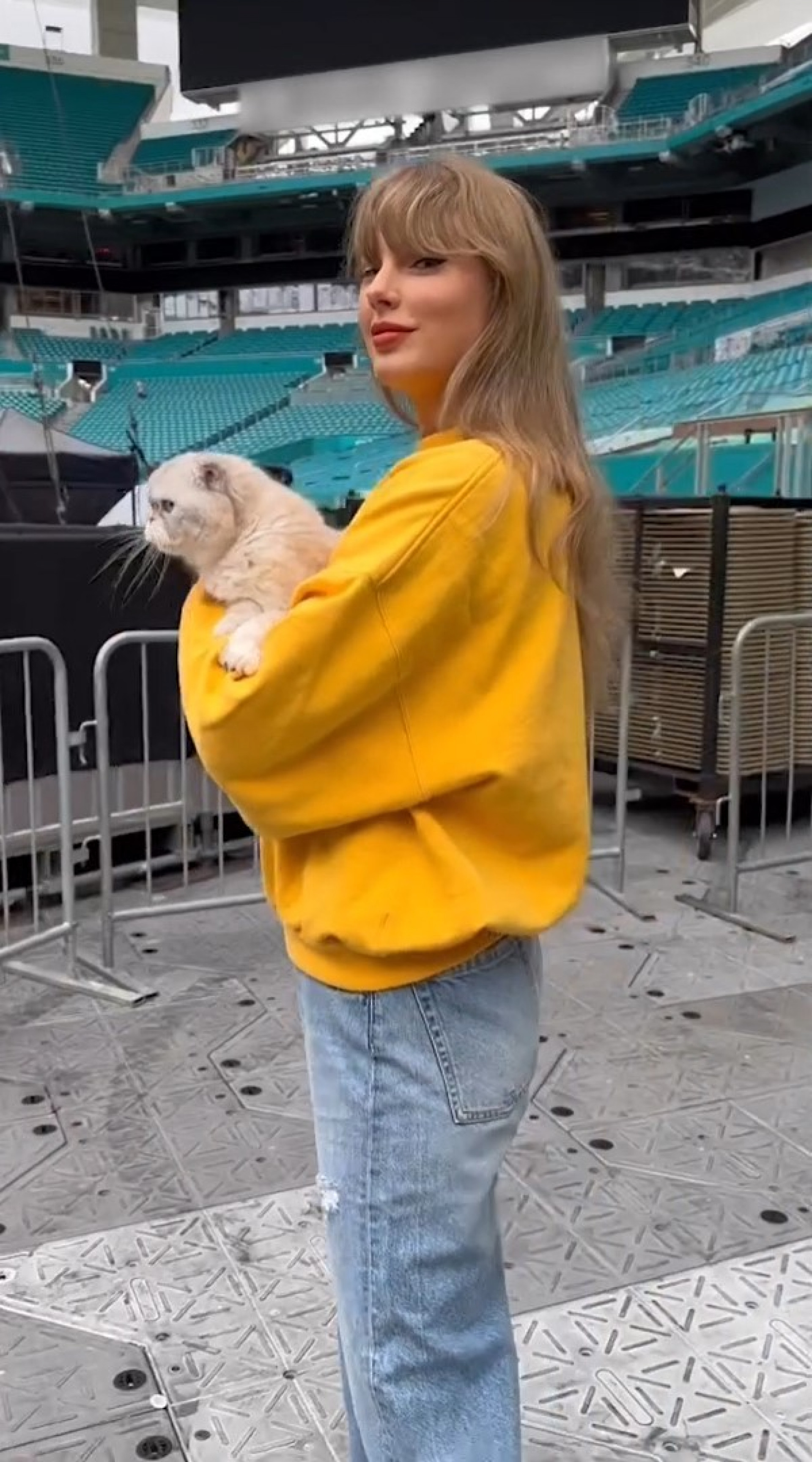 Olivia, gata de Taylor Swift, rouba a cena em vídeo da cantora - Reprodução / Instagram