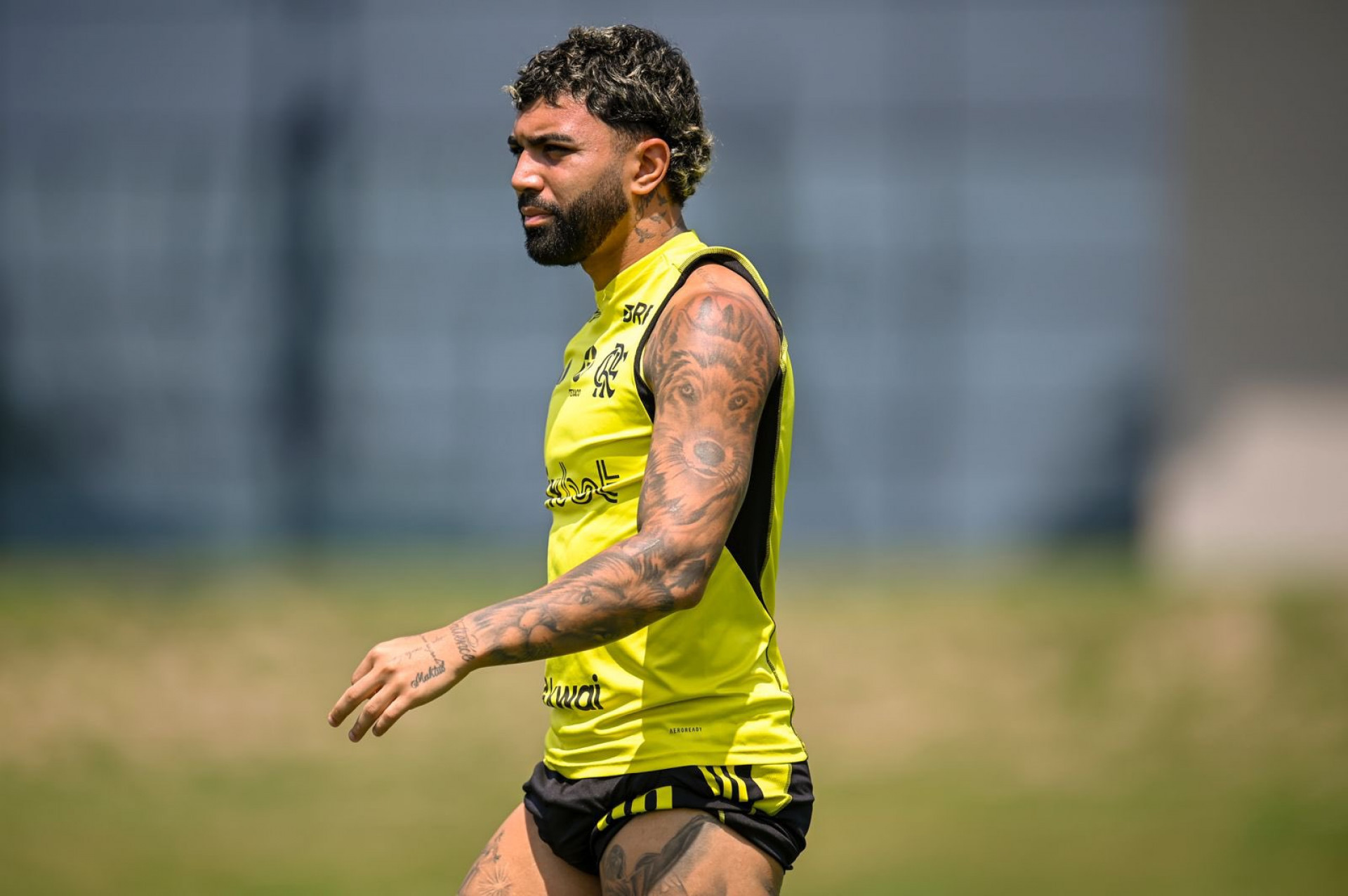 Gabigol - Divulgação/ Flamengo