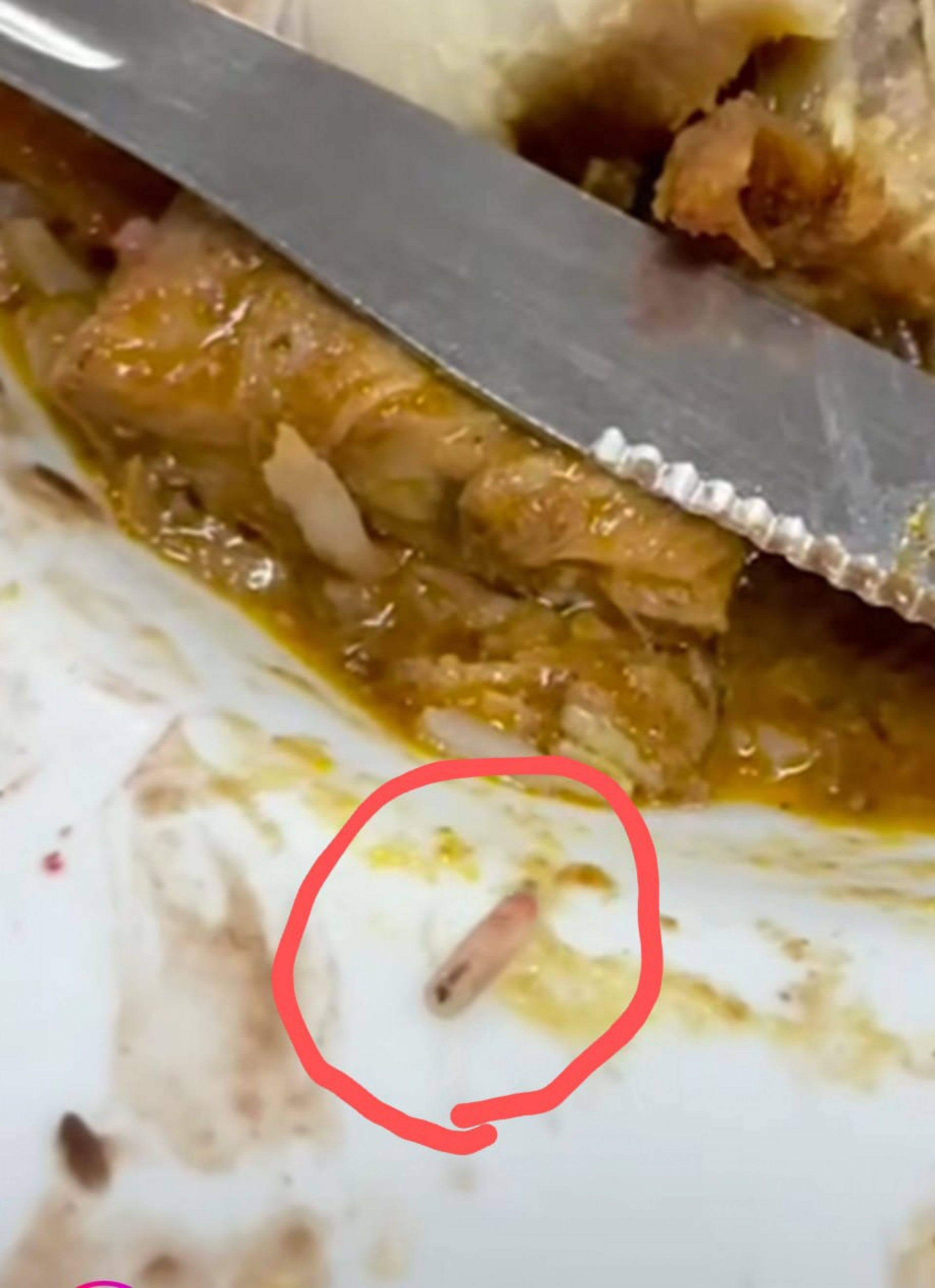 No destaque larva encontrada no prato do trabalhador durante o almoço - Divulgação/reprodução rede social