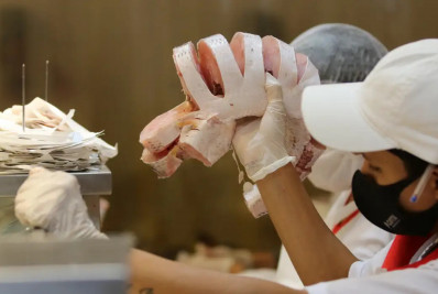 EUA diminuem burocracia para comprar pescados brasileiros