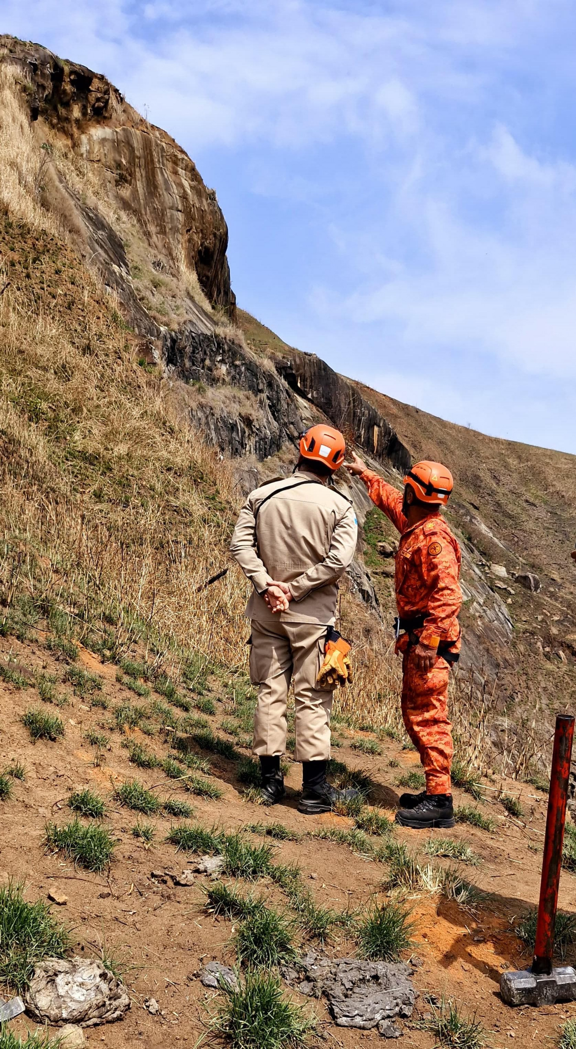 Bombeiros resgataram o animal