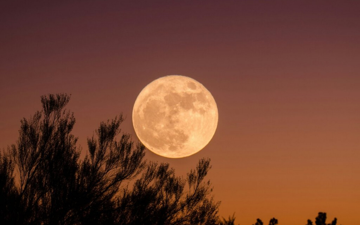 Astrologia da semana de 13 a 19/10: Lua Cheia altamente crítica