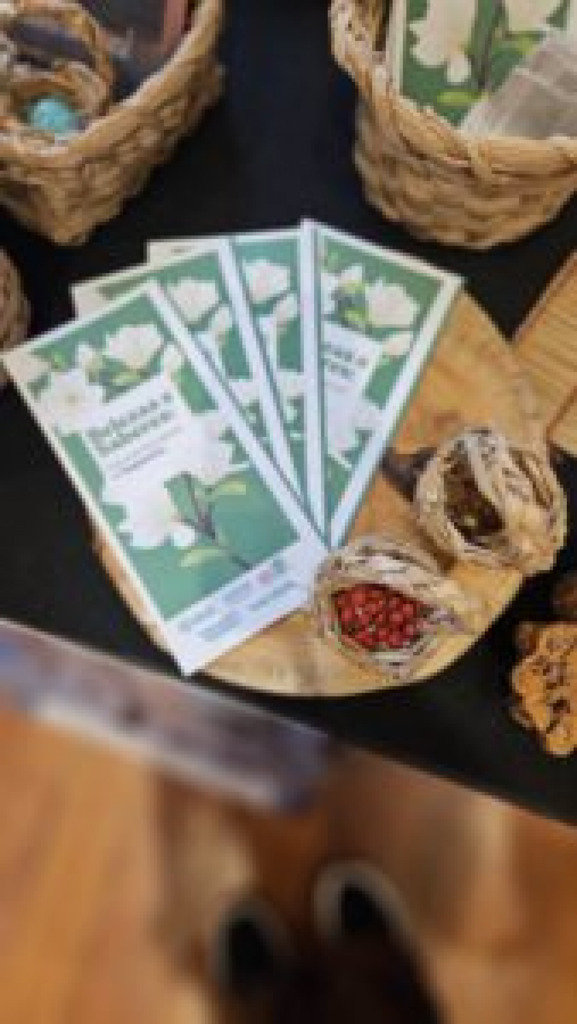 Ecossistema de Saquarema é destaque em exposição no Jardim Botânico do Rio - Divulgação/Prefeitura de Saquarema