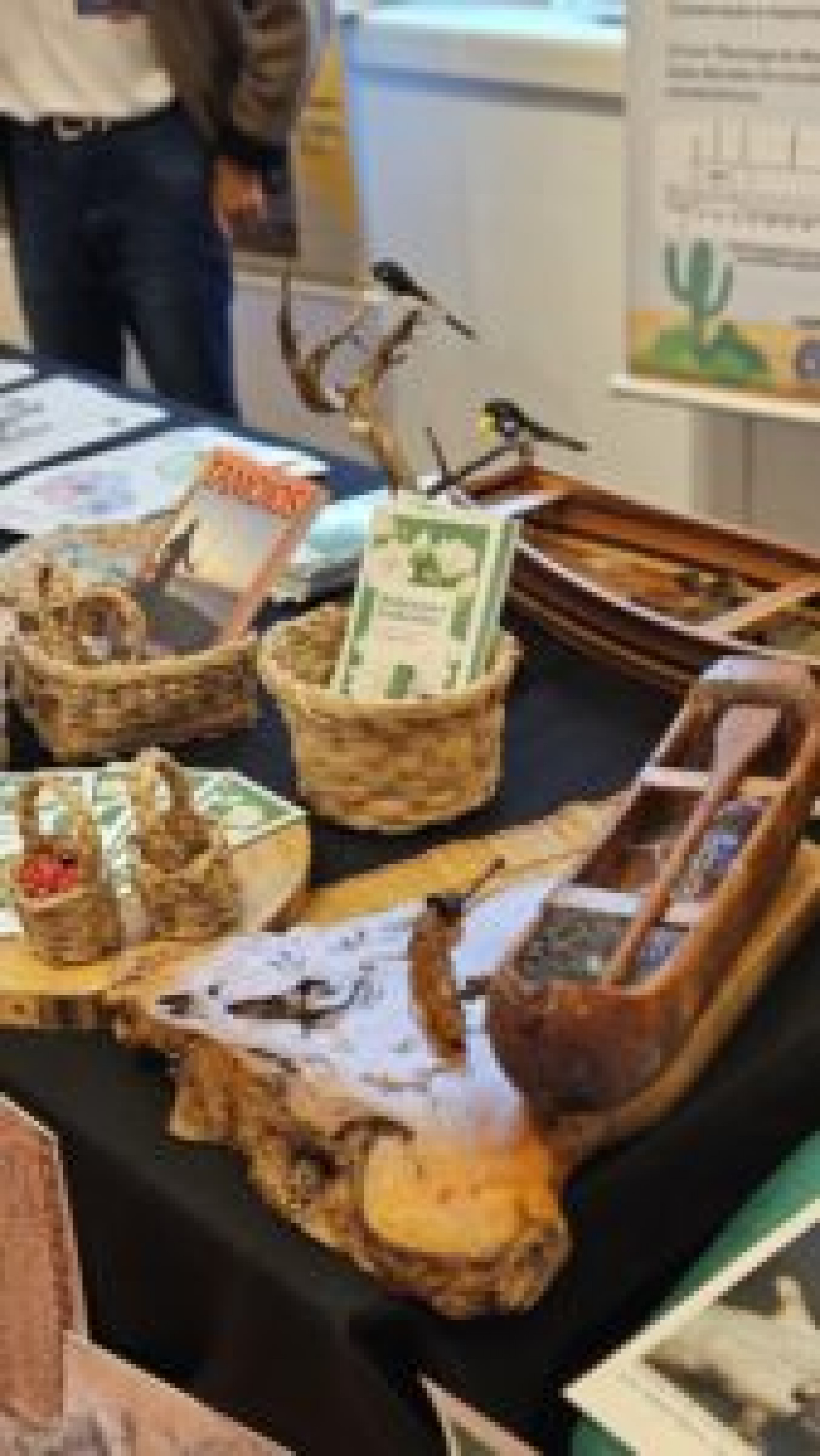 Ecossistema de Saquarema é destaque em exposição no Jardim Botânico do Rio - Divulgação/Prefeitura de Saquarema