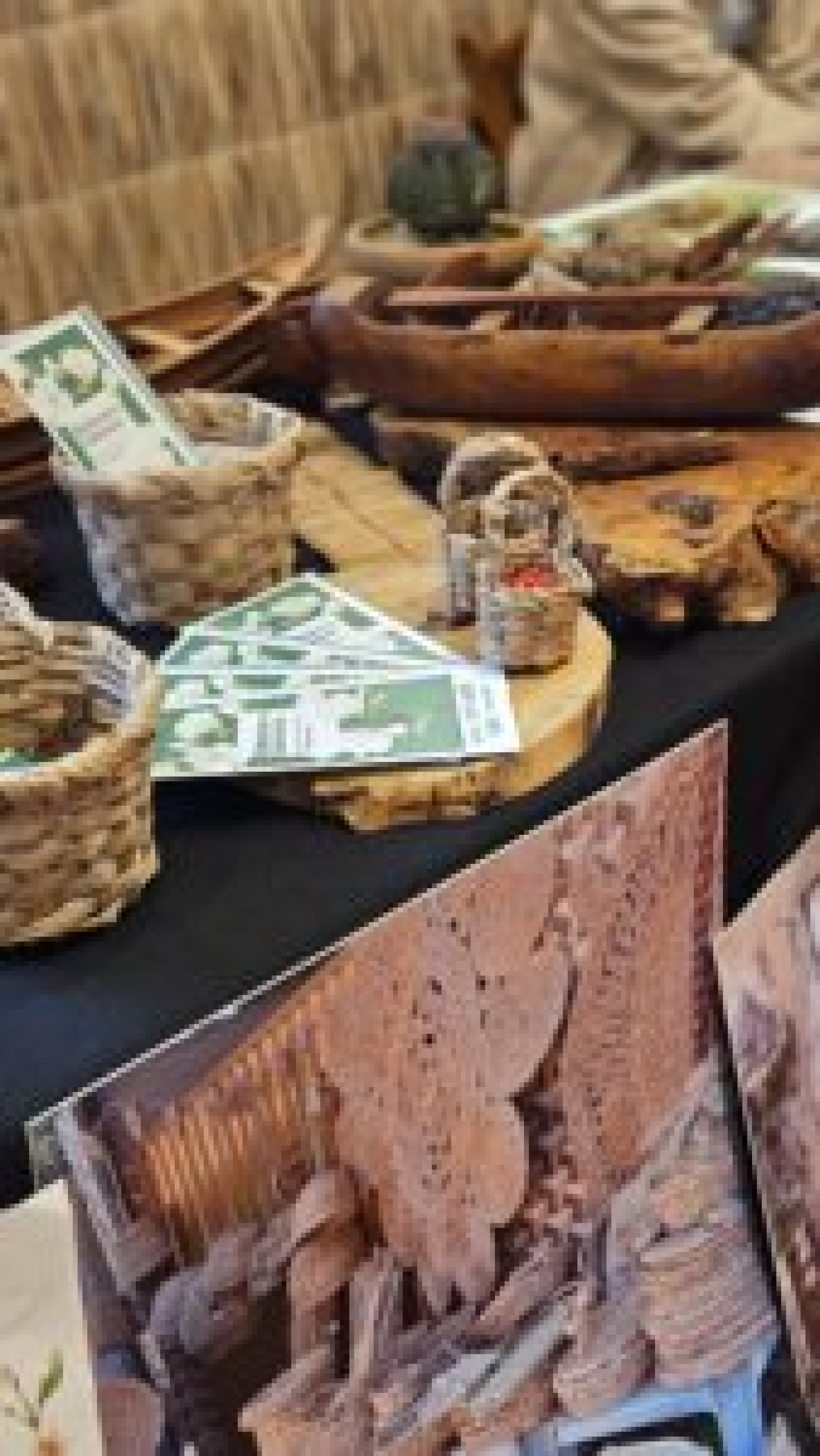 Ecossistema de Saquarema é destaque em exposição no Jardim Botânico do Rio - Divulgação/Prefeitura de Saquarema