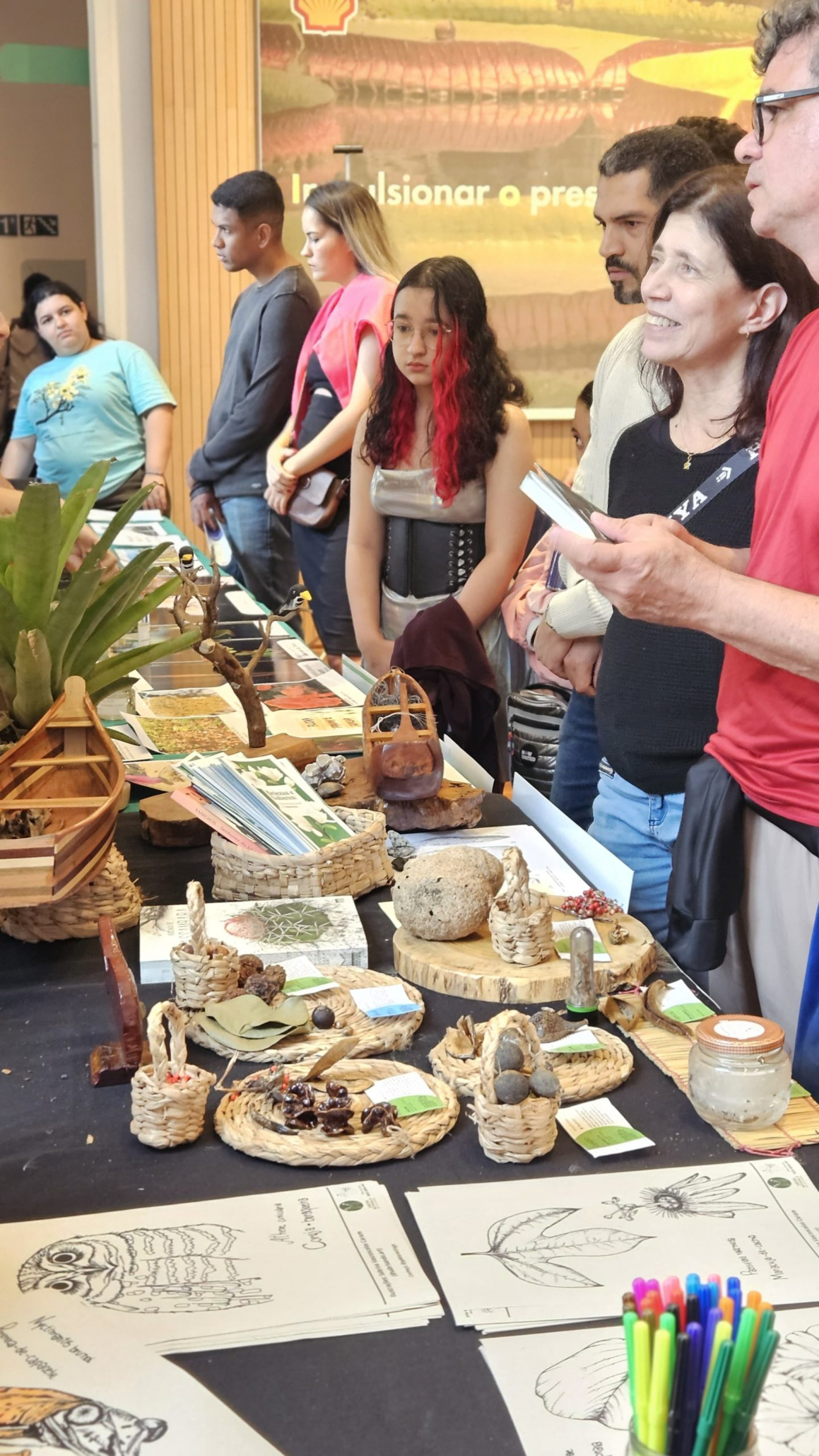 Ecossistema de Saquarema é destaque em exposição no Jardim Botânico do Rio - Divulgação/Prefeitura de Saquarema