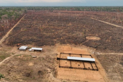 PF bloqueia R$ 138 milhões em operação contra queimadas e desmatamento na Região Amazônica 