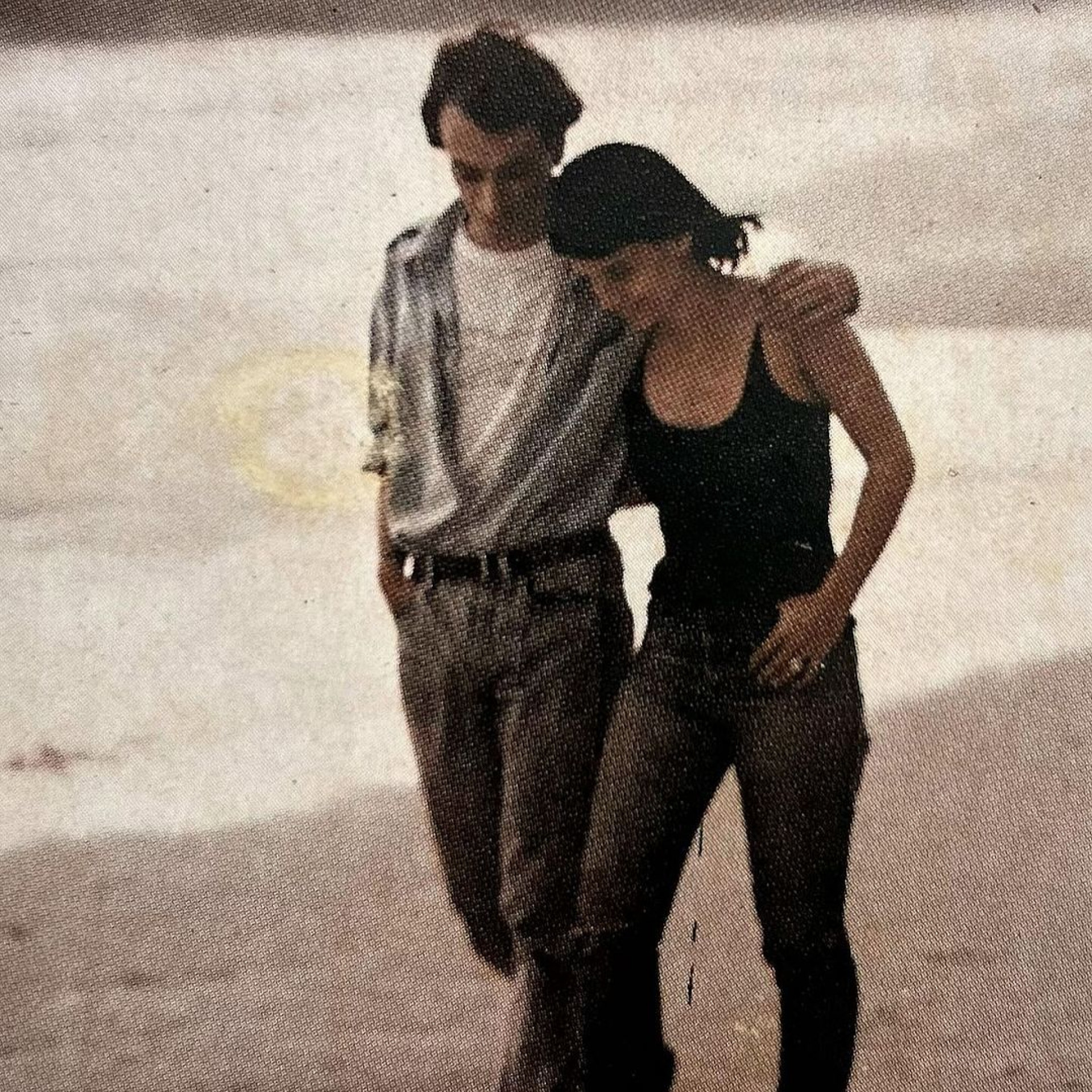 A cantora Marina Lima e o irmão, o poeta Antonio Cicero - Reprodução/Instagram