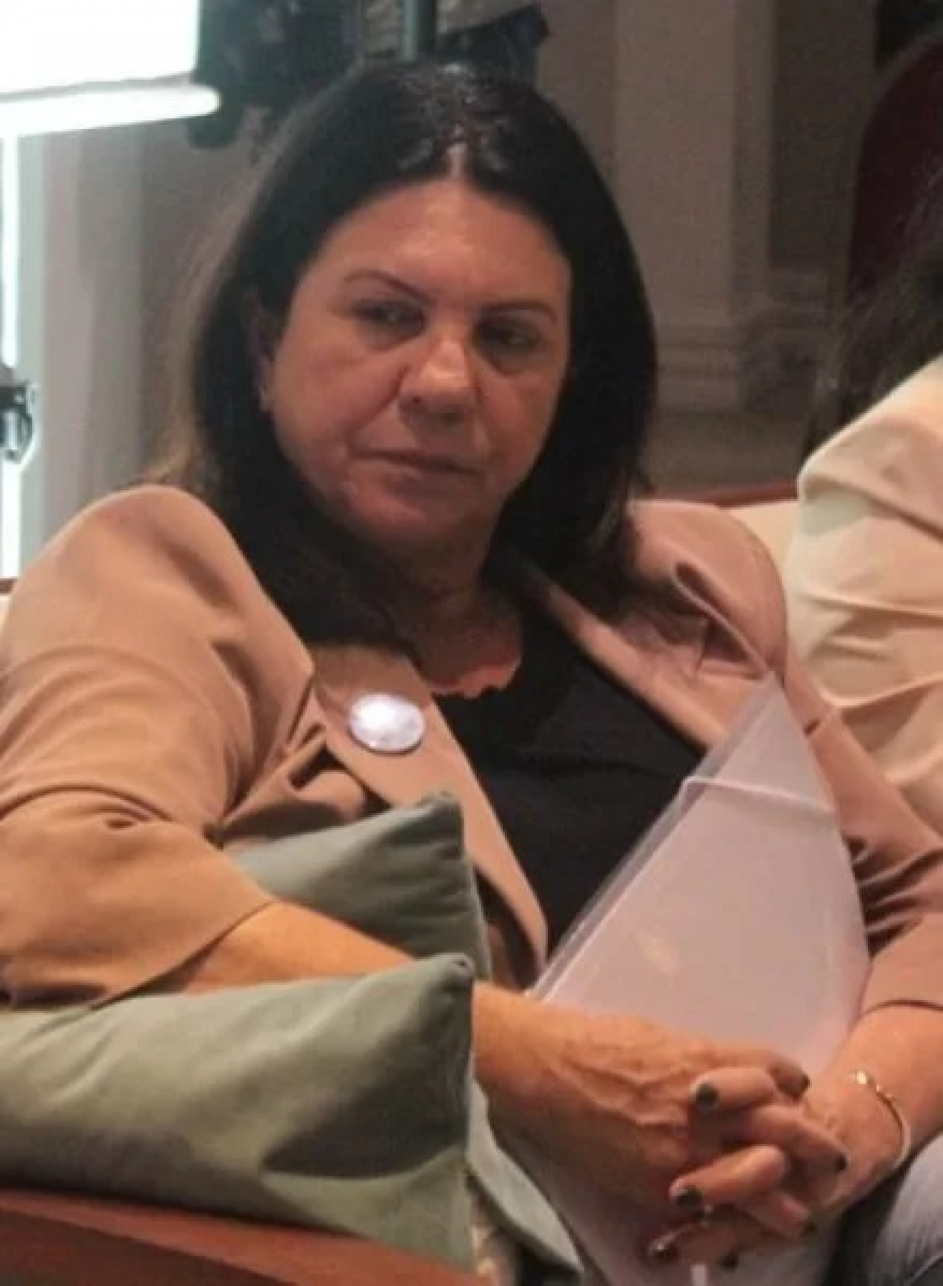 Prefeita Magdala Furtado