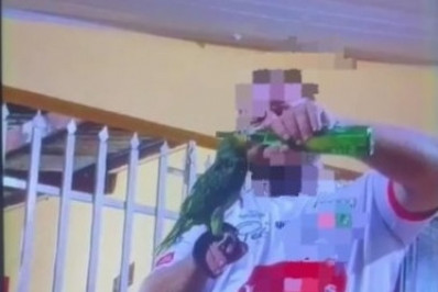 Homem é preso após publicar vídeo dando cerveja para papagaio