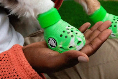 Crocs lança linha Pet Clogs com sandálias voltadas para cães