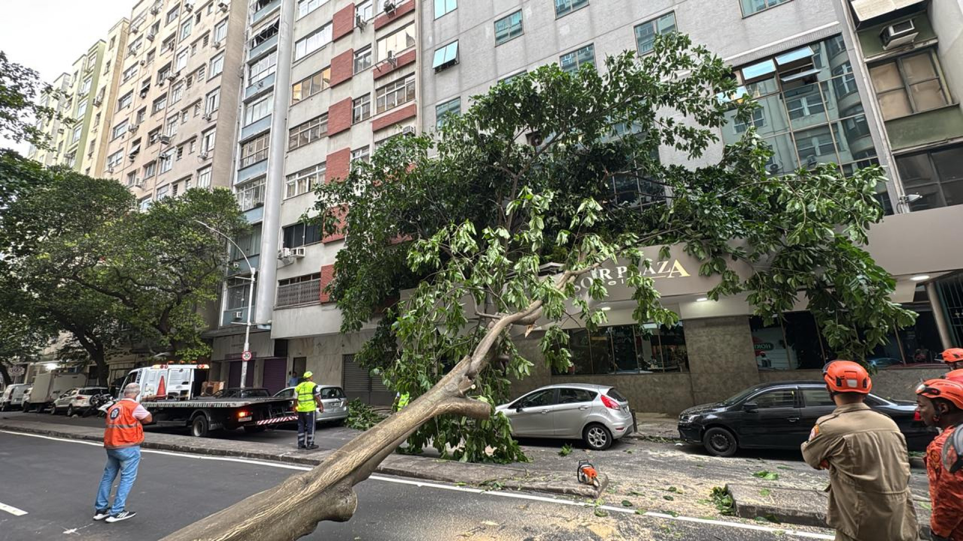 Queda de &aacute;rvore interdita a Avenida Prado Junior, pr&oacute;ximo &agrave; Rua Barata Ribeiro, em Copacabana - Divulga&ccedil;&atilde;o / Corpo de Bombeiros