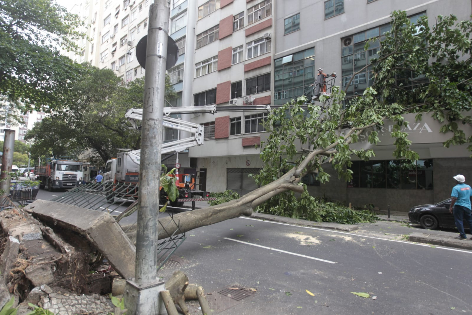 Queda de árvore interdita a Avenida Prado Junior, próximo à Rua Barata Ribeiro, em Copacabana - Reginaldo Pimenta / Agência O Dia