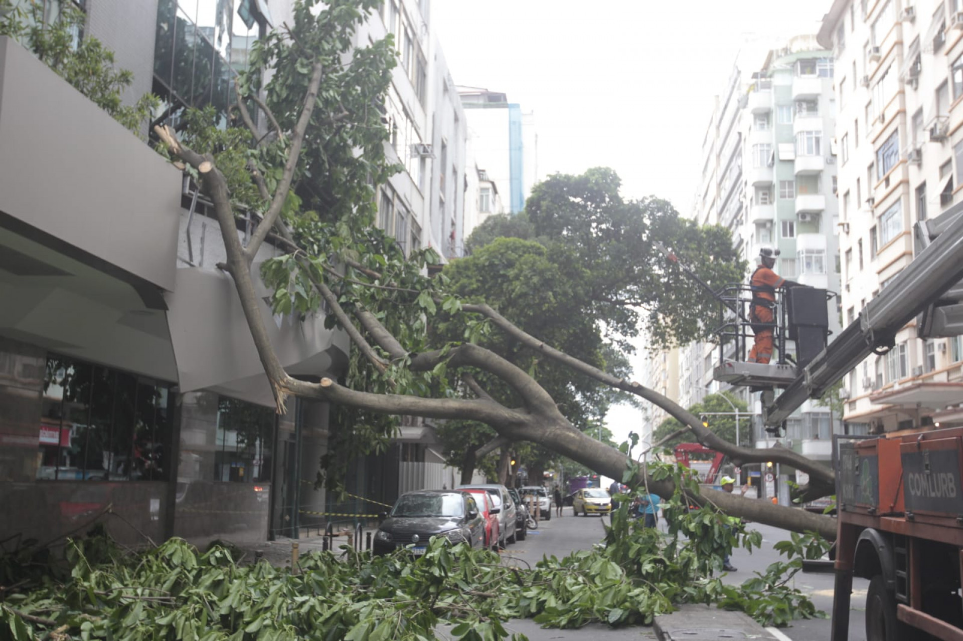 Queda de árvore interdita a Avenida Prado Junior, próximo à Rua Barata Ribeiro, em Copacabana - Reginaldo Pimenta / Agência O Dia