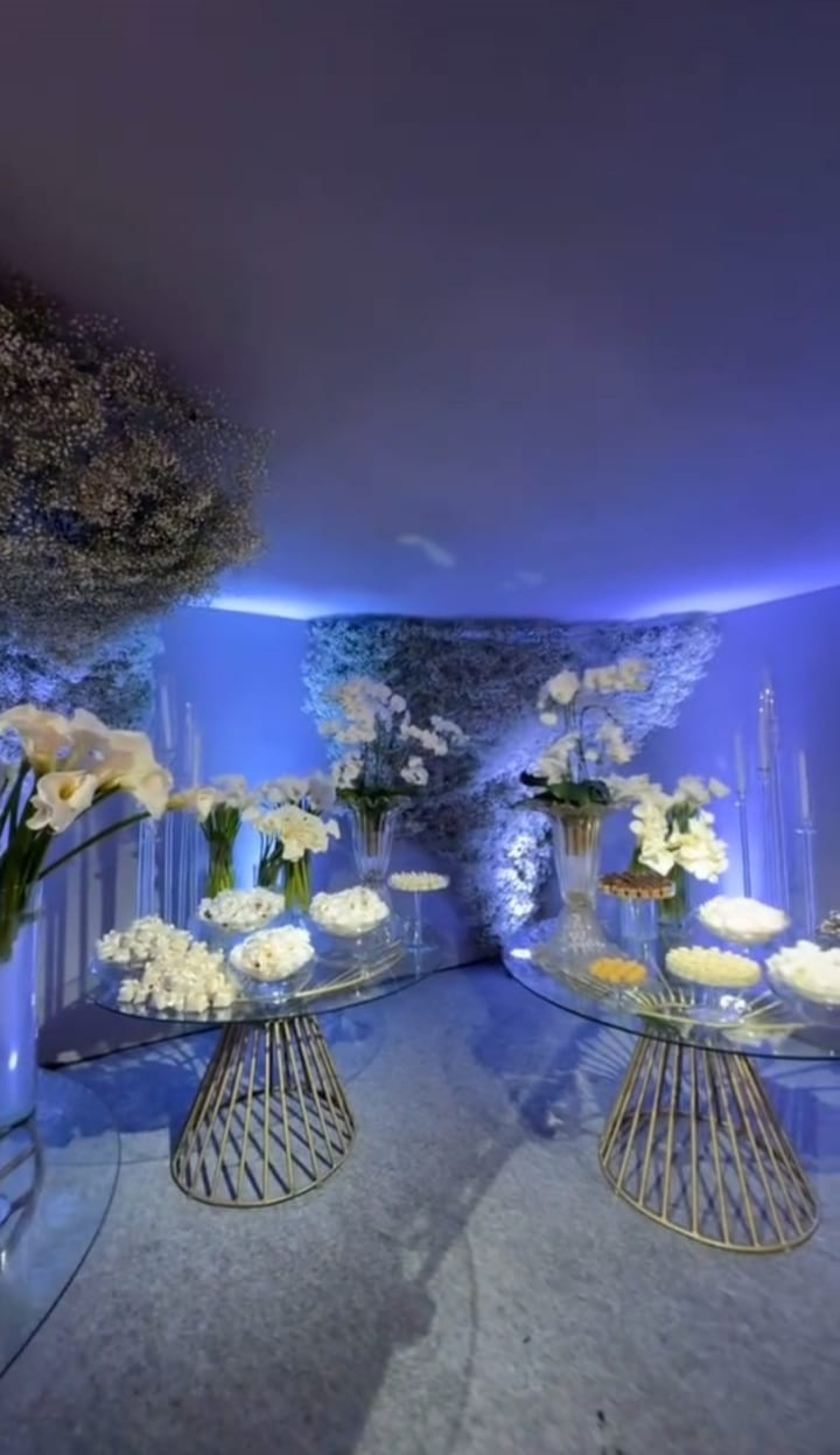  Vivi Noronha mostrou detalhes da festa para os seguidores  - Reprodução / X