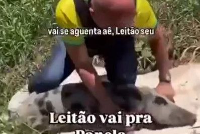 Vereador de Fortaleza grava vídeo maltratando porco para provocar Evandro Leitão
