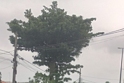 Kombi bate em poste e deixa 14 pessoas feridas em Santa Cruz