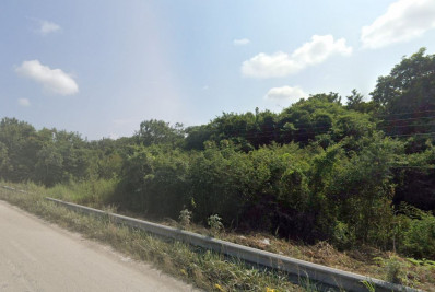 Estudante encontra cidade milenar de civilização maia por acidente em floresta no México