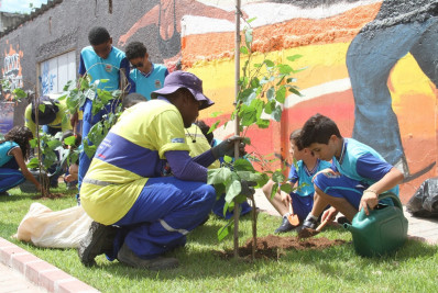 Alunos da rede municipal participam de plantio de frutíferas no MUVI