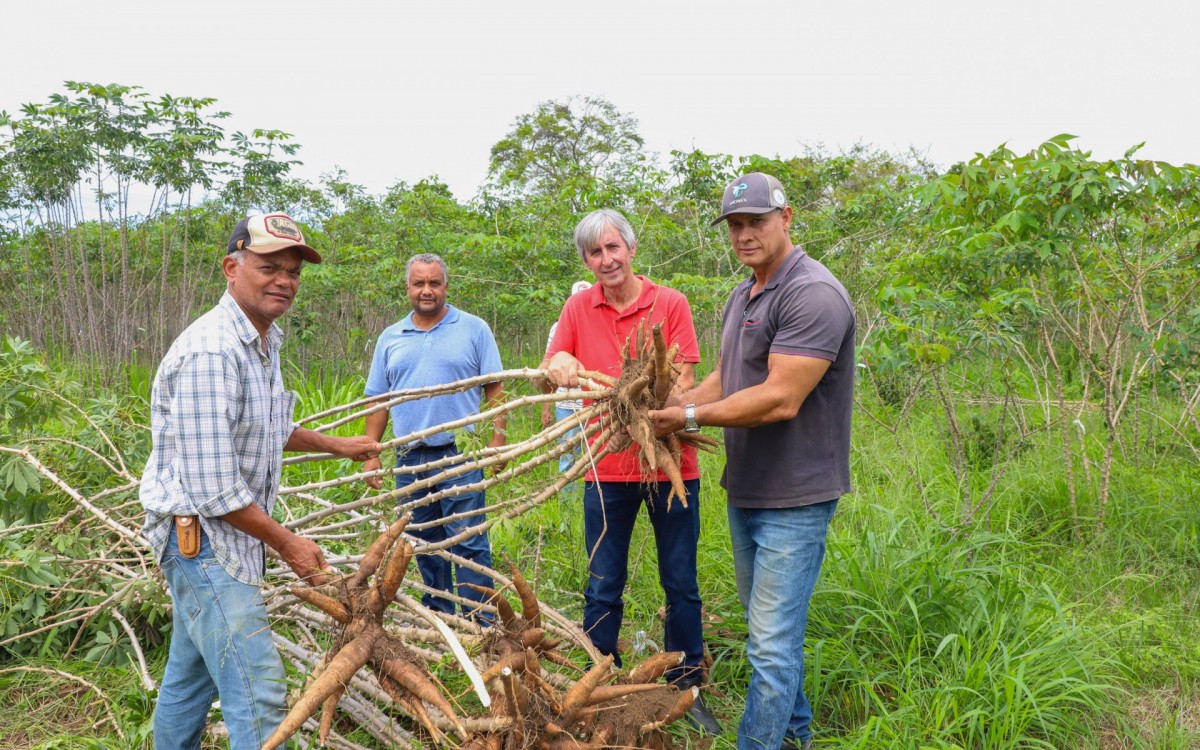 Pesquisadores da Embrapa e técnicos realizam colheita experimental no Horto Municipal de Quissamã