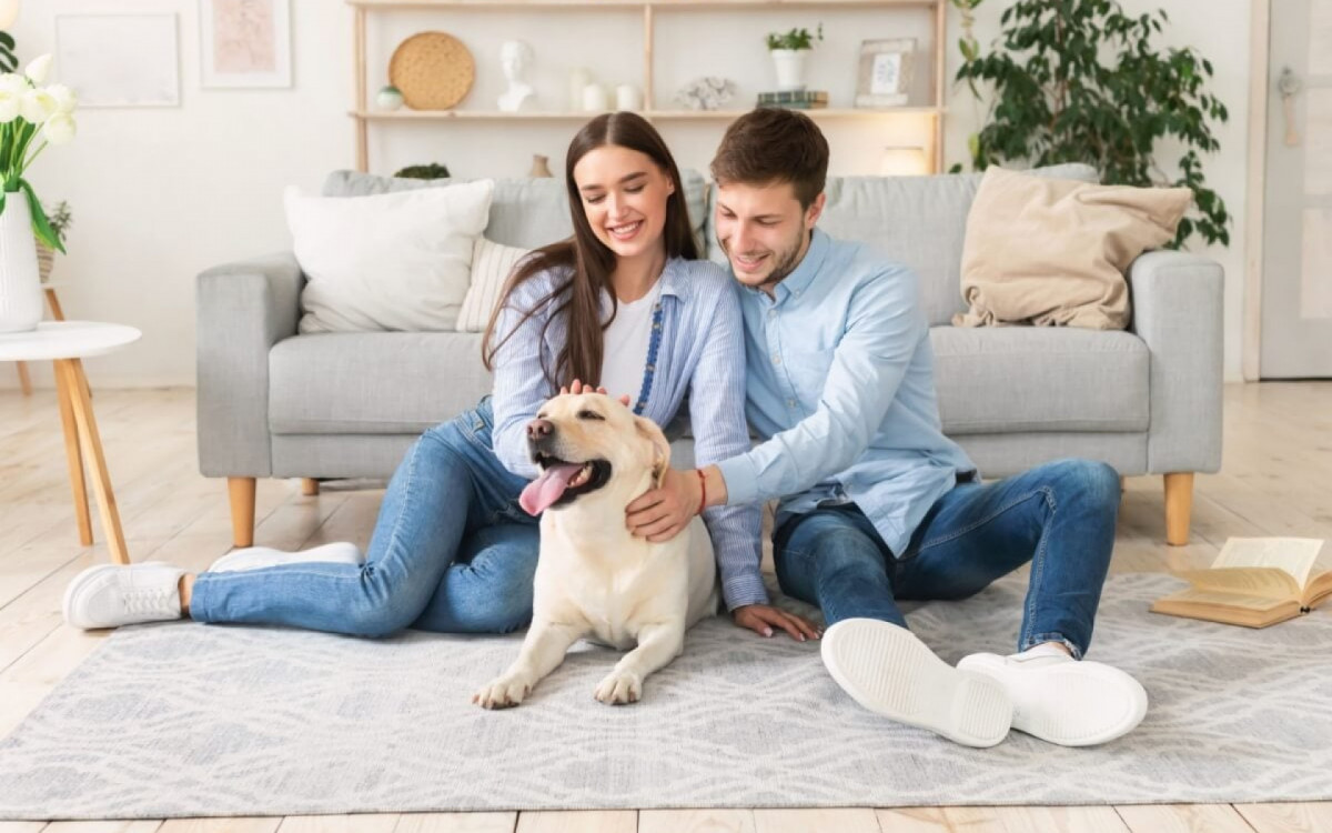 As caracter&iacute;sticas de alguns c&atilde;es s&atilde;o ideais para tutores de primeira viagem (Imagem: Prostock-studio | Shutterstock)