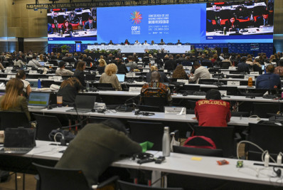 Luta por financiamento prolonga as negociações da COP16