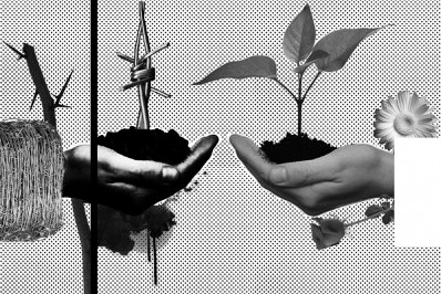 Não seja consumido pelo ódio, semeie a paz