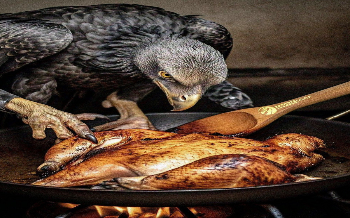Brincadeira com os mascotes de Flamengo (Urubu) e Atlético-MG (Galo)