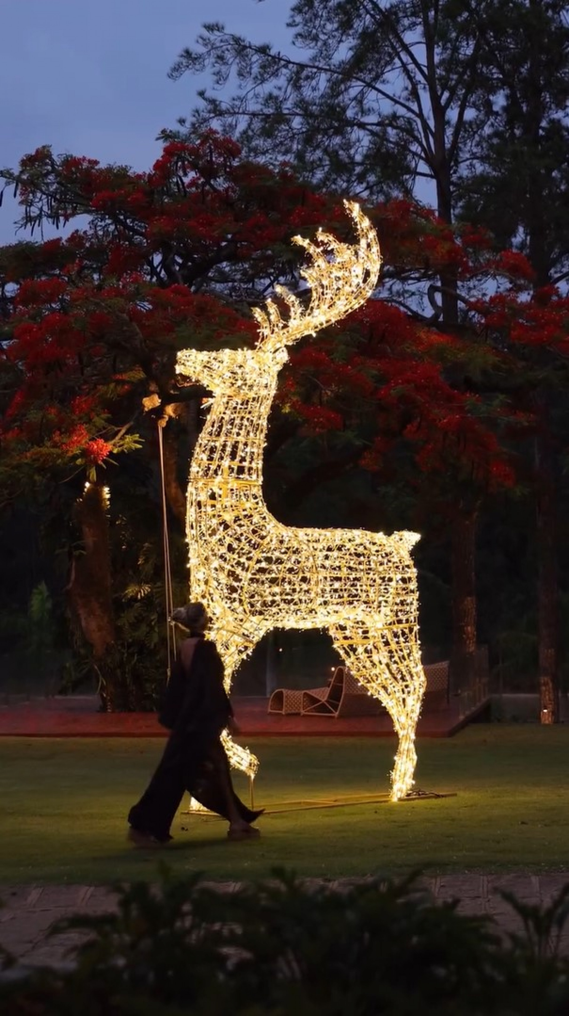 Ana Paula Siebert mostra decoração luxuosa de Natal na fazenda da família - Reprodução / Instagram