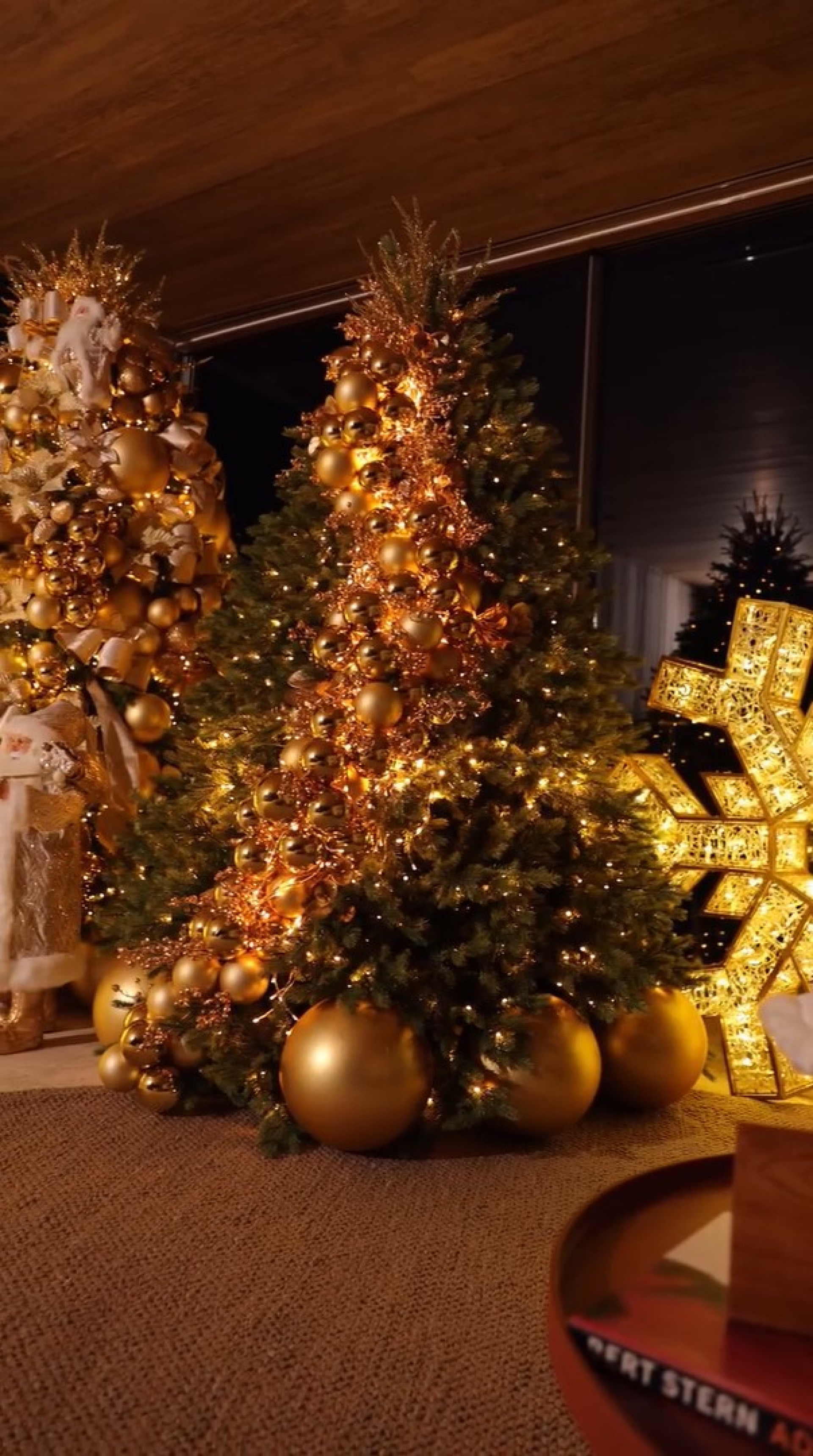 Ana Paula Siebert mostra decoração luxuosa de Natal na fazenda da família - Reprodução / Instagram