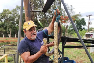 Sucuri entra pelo cano e interrompe abastecimento de água em cidade de SP