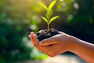 Meio Ambiente realiza conferência municipal este mês