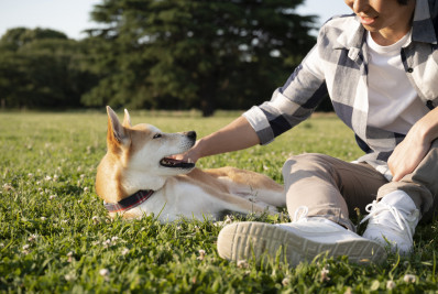 Mensageria, minimercado e espaço pet são desejos de inquilinos