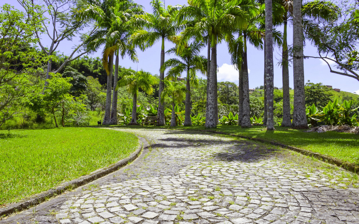 Evento tem apoio da prefeitura de Paty