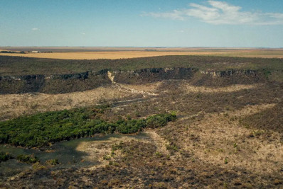 Após cinco anos de aumento, desmatamento no Cerrado tem queda