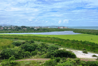 Denúncia Ambiental: Mortalidade de peixes e poluição levam ao pedido de fechamento imediato da área