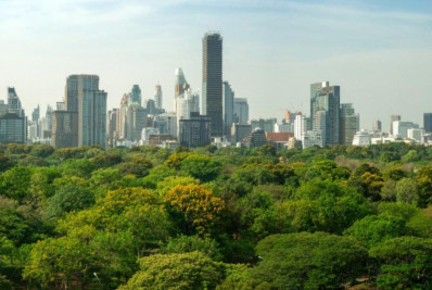 Projeto de Miniflorestas Urbanas em Macaé começa nesta segunda com plantio no Nupem