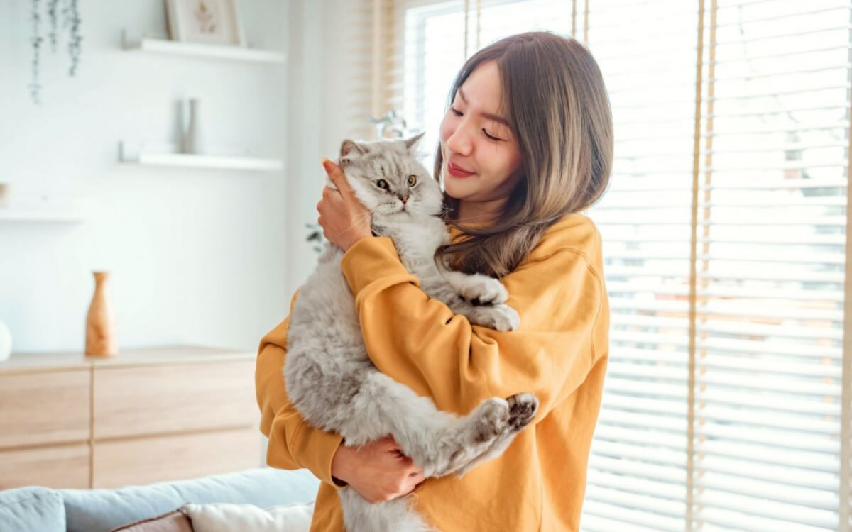 Ter um gato &eacute; abrir espa&ccedil;o para momentos de carinho e alegria, com uma companhia &uacute;nica e tranquila para o lar (Imagem: oatawa | Shutterstock)